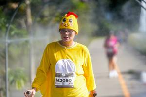 BIB: 
                            <button type="button" onclick="openModal(26543881)" class="btn btn-primary btn-sm float-right btn-popup" data-toggle="modal" data-target=".modal-high-quality">
                        <i class="fas fa-shopping-cart"></i> Add to Cart
                    </button>
                                            <button type="button" onclick="isThisMe(26543881, true)" class="btn btn-success btn-sm float-right btn-popup btn-isme hidden" data-toggle="tooltip" data-placement="bottom" title="นี่คือรูปของคุณใช่ไหม คลิกที่นี่เพื่อเอาเข้าอัลบั้ม">
                        <i class="fas fa-plus"></i> Add to album
                    </button>
                    <button type="button" onclick="isThisMe(26543881, false)" class="btn btn-warning btn-sm float-right btn-popup btn-isnotme hidden">
                        <i class="fas fa-ban"></i> Remove from album
                    </button>